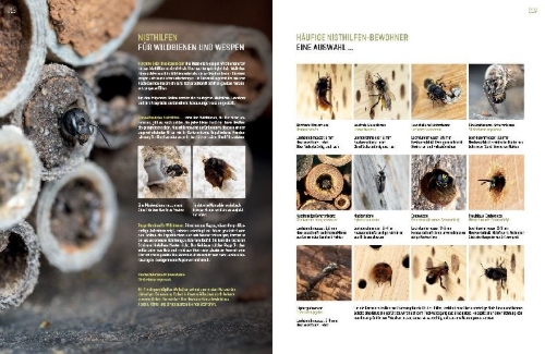 Buchcover und Innenansicht für das Buch: WILDBIENENHELFER