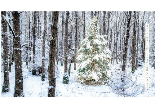 Buchcover und Innenansicht für das Buch: Escape Christmas - Adventskalender
