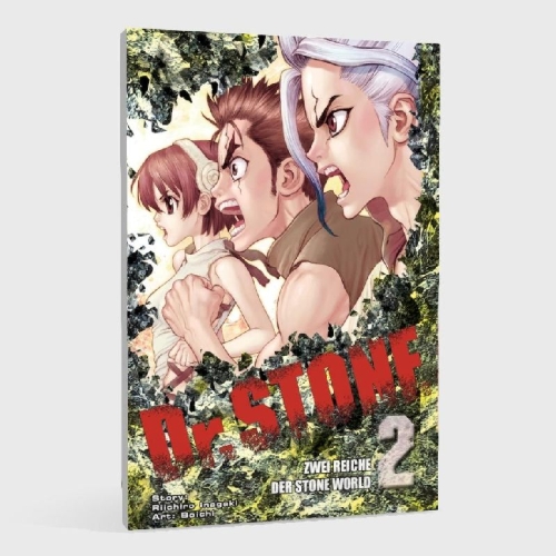 Buchcover und Innenansicht für das Buch: Dr. Stone