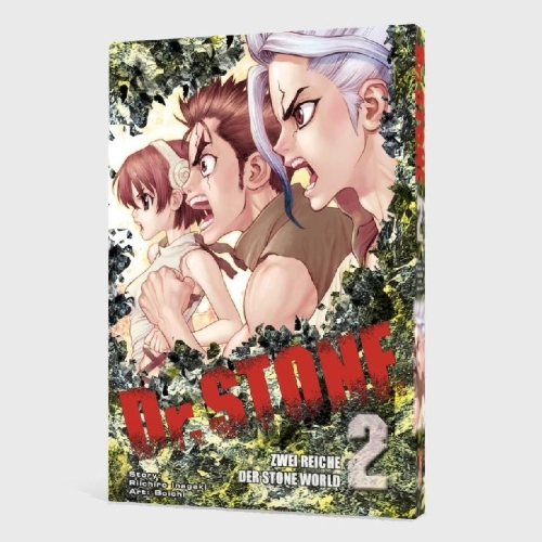 Buchcover und Innenansicht für das Buch: Dr. Stone