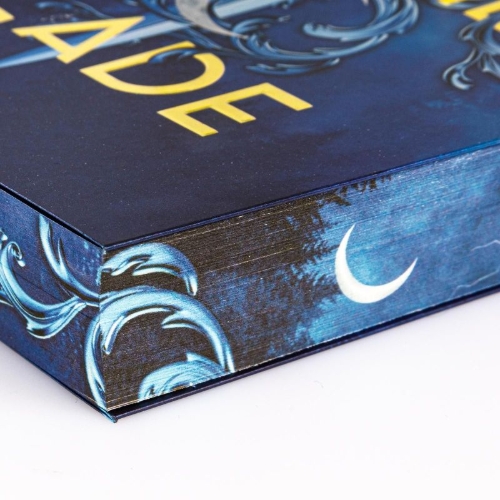 Buchcover und Innenansicht für das Buch: The Witches Blade