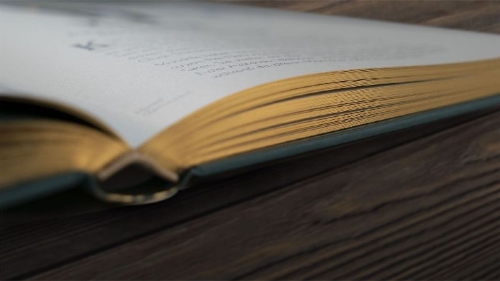 Buchcover und Innenansicht für das Buch: Wundervolle Welt der Tiere