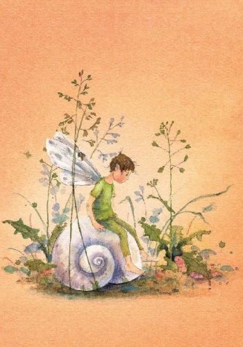 Buchcover und Innenansicht für das Buch: Postkartenbuch "Elfenträume"