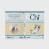 Buchcover und Innenansicht für das Buch: Ch¿zu Su¿to H¿mu