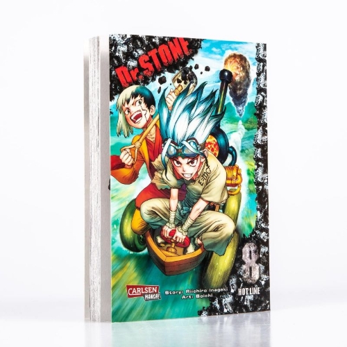 Buchcover und Innenansicht für das Buch: Dr. Stone