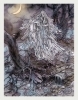 Buchcover und Innenansicht für das Buch: Keltische Winternächte