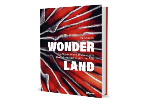 Buchcover und Innenansicht für das Buch: Wonderland