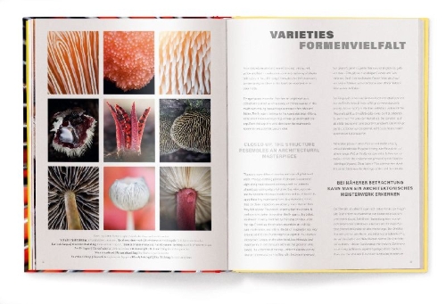 Buchcover und Innenansicht für das Buch: Wonderland