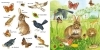 Buchcover und Innenansicht für das Buch: Mein kleines buntes Bildwörterbuch: Tiere im Park und im Garten