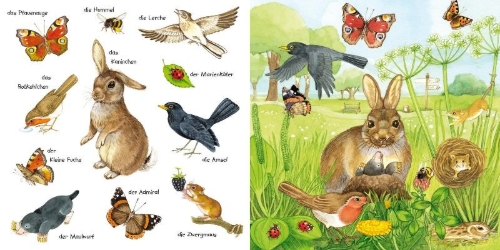 Buchcover und Innenansicht für das Buch: Mein kleines buntes Bildwörterbuch: Tiere im Park und im Garten