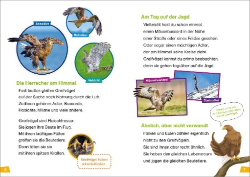 Buchcover und Innenansicht für das Buch: WAS IST WAS Erstes Lesen Band 18. Greifvögel