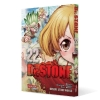 Buchcover und Innenansicht für das Buch: Dr. Stone