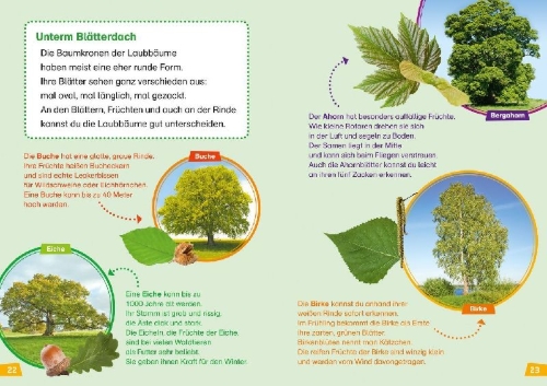 Buchcover und Innenansicht für das Buch: WAS IST WAS Erstes Lesen Band 6. Wald