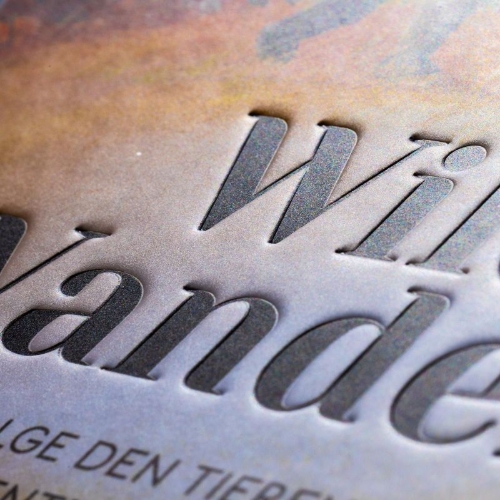 Buchcover und Innenansicht für das Buch: Wilde Wanderer