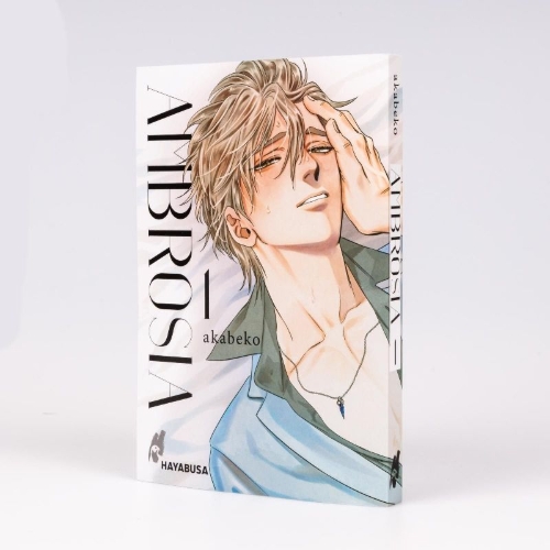 Buchcover und Innenansicht für das Buch: Mitsuka