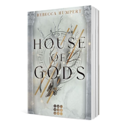 Buchcover und Innenansicht für das Buch: House of Gods