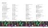 Buchcover und Innenansicht für das Buch: Kleiner Garten - große Ernte
