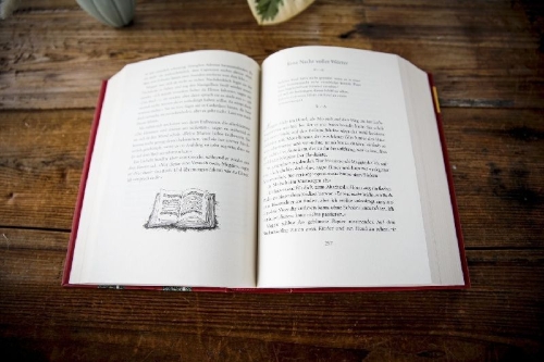 Buchcover und Innenansicht für das Buch: Tintenherz