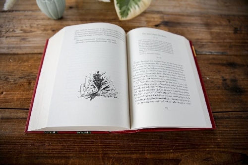 Buchcover und Innenansicht für das Buch: Tintenherz