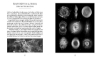 Buchcover und Innenansicht für das Buch: Sciencia