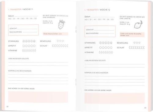 Buchcover und Innenansicht für das Buch: Babyplaner