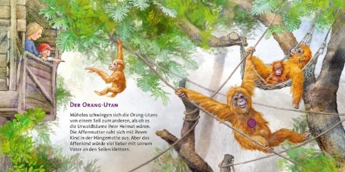 Buchcover und Innenansicht für das Buch: Hör mal (Soundbuch): Im Zoo