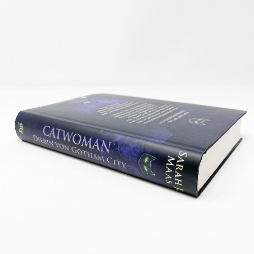 Buchcover und Innenansicht für das Buch: Catwoman: Soulstealer