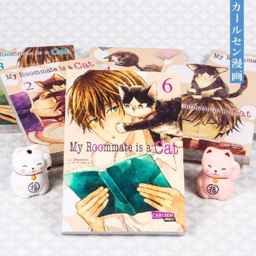 Buchcover und Innenansicht für das Buch: Doukyonin wa Hiza, Tokidoki, Atama no Ue