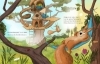 Buchcover und Innenansicht für das Buch: Das Eichzörnchen