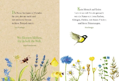 Buchcover und Innenansicht für das Buch: So viele Gründe zum Lächeln