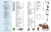 Buchcover und Innenansicht für das Buch: Unsere Welt in 1000 Bildern. Länder der Erde