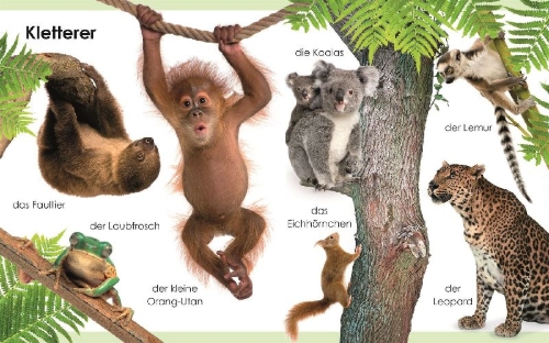 Buchcover und Innenansicht für das Buch: Erstes Lernen mini. Tiere