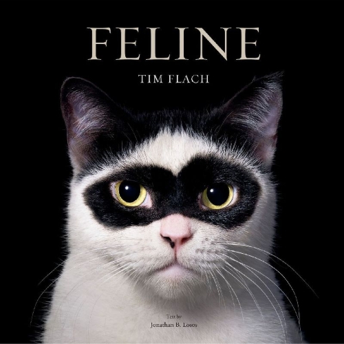 Buchcover und Innenansicht für das Buch: Feline