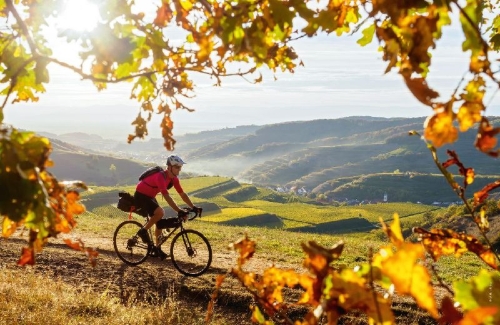 Buchcover und Innenansicht für das Buch: LONELY PLANET Bildband Legendäre Radtouren in Deutschland