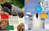 Buchcover und Innenansicht für das Buch: WAS IST WAS Geniale Tiere ... und ihre Tricks