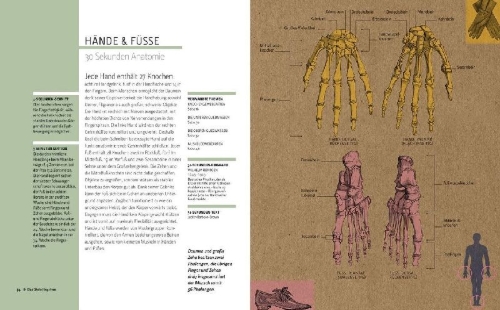 Buchcover und Innenansicht für das Buch: Anatomie in 30 Sekunden