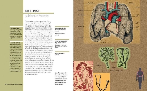 Buchcover und Innenansicht für das Buch: Anatomie in 30 Sekunden