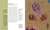 Buchcover und Innenansicht für das Buch: Anatomie in 30 Sekunden
