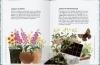 Buchcover und Innenansicht für das Buch: Planting Wildflowers
