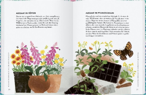 Buchcover und Innenansicht für das Buch: Planting Wildflowers