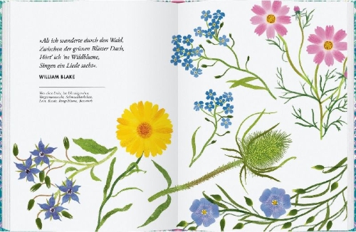 Buchcover und Innenansicht für das Buch: Planting Wildflowers