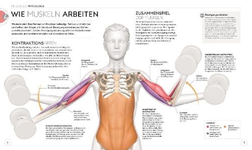 Buchcover und Innenansicht für das Buch: Krafttraining - Die Anatomie verstehen