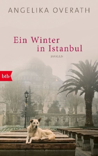 Buchcover und Innenansicht für das Buch: Ein Winter in Istanbul