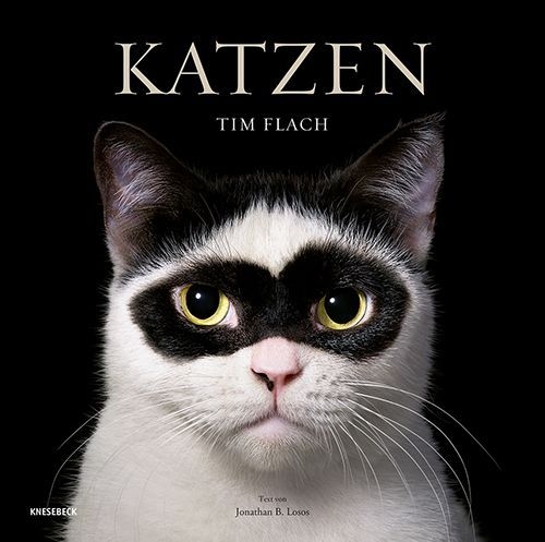 Buchcover und Innenansicht für das Buch: Feline