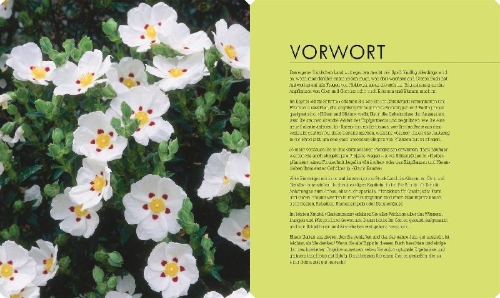 Buchcover und Innenansicht für das Buch: So geht Garten