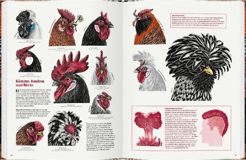 Buchcover und Innenansicht für das Buch: Het groete koppenboek