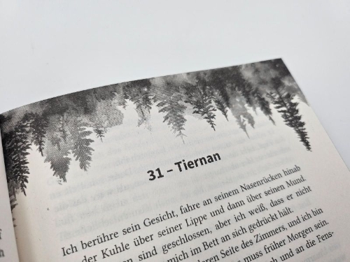 Buchcover und Innenansicht für das Buch: Credence