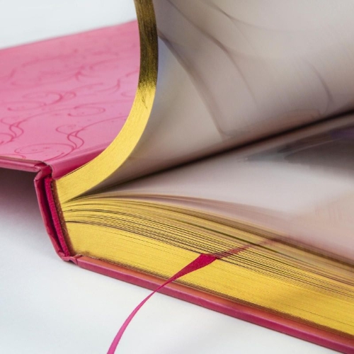 Buchcover und Innenansicht für das Buch: Disney: Das große goldene Buch der Prinzessinnen