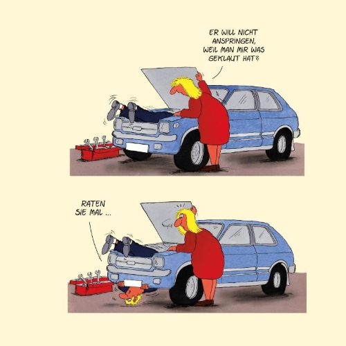 Buchcover und Innenansicht für das Buch: Autofahren!