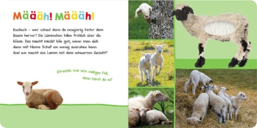 Buchcover und Innenansicht für das Buch: Hör mal rein, wer kann das sein? - Im Frühling